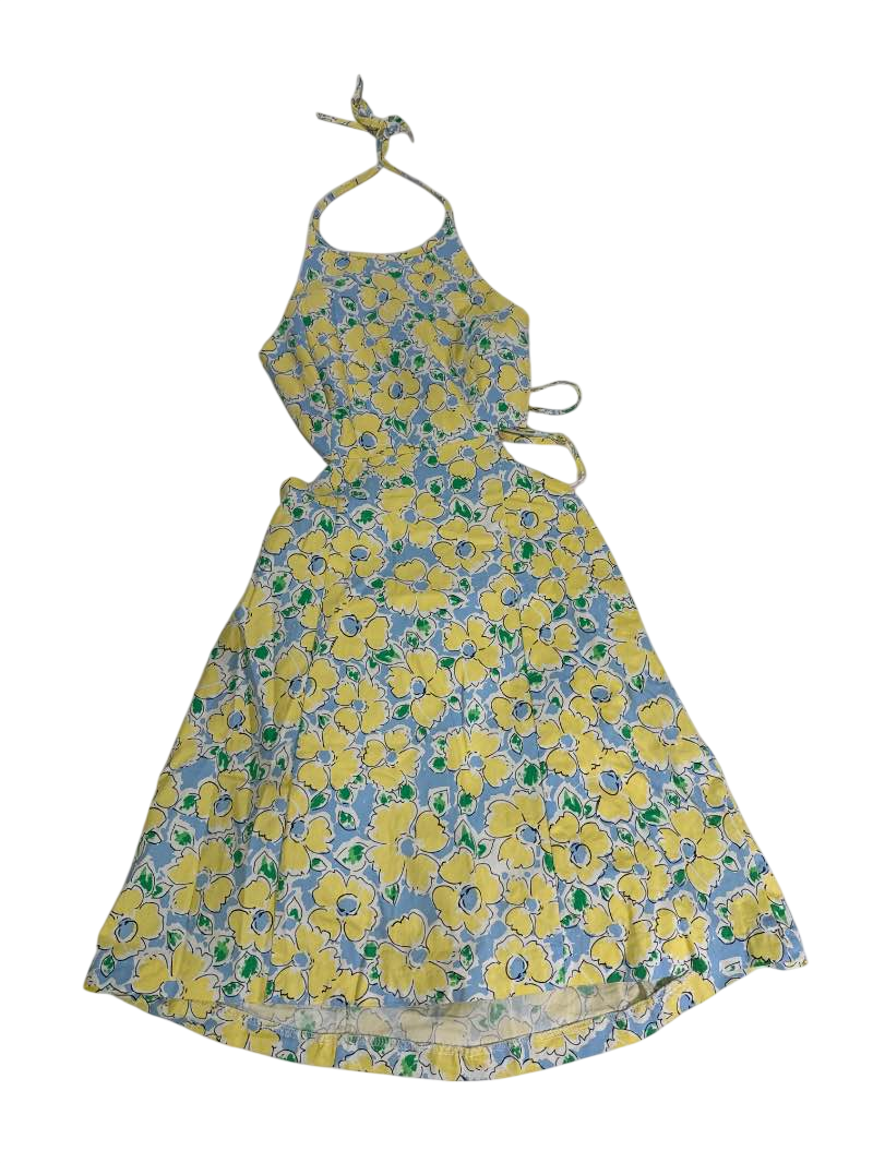 Zara Halter Neck Midi Dresses