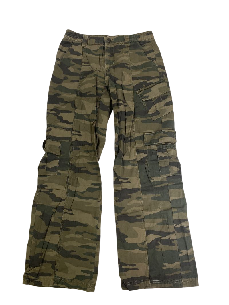 Pacsun  Cargo Pants Pants