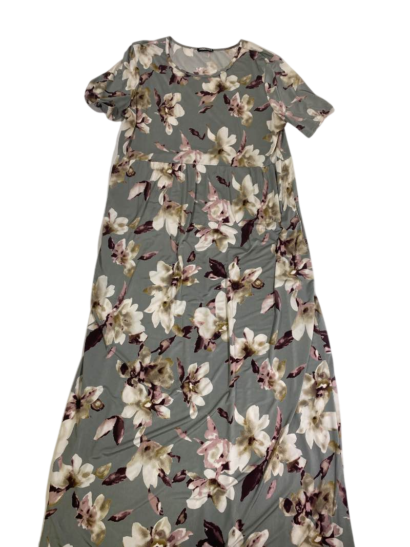 Heimish USA Maxi dress Dresses