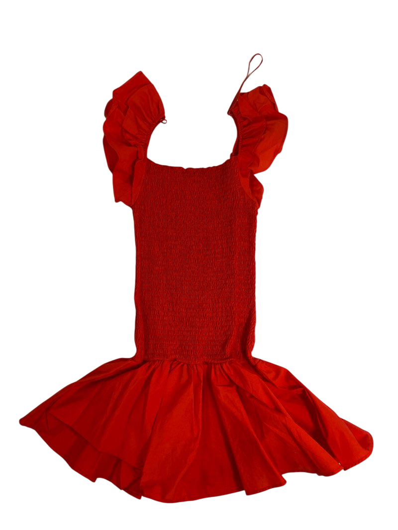 Zara  Smocked Ruffle Mini Dresses