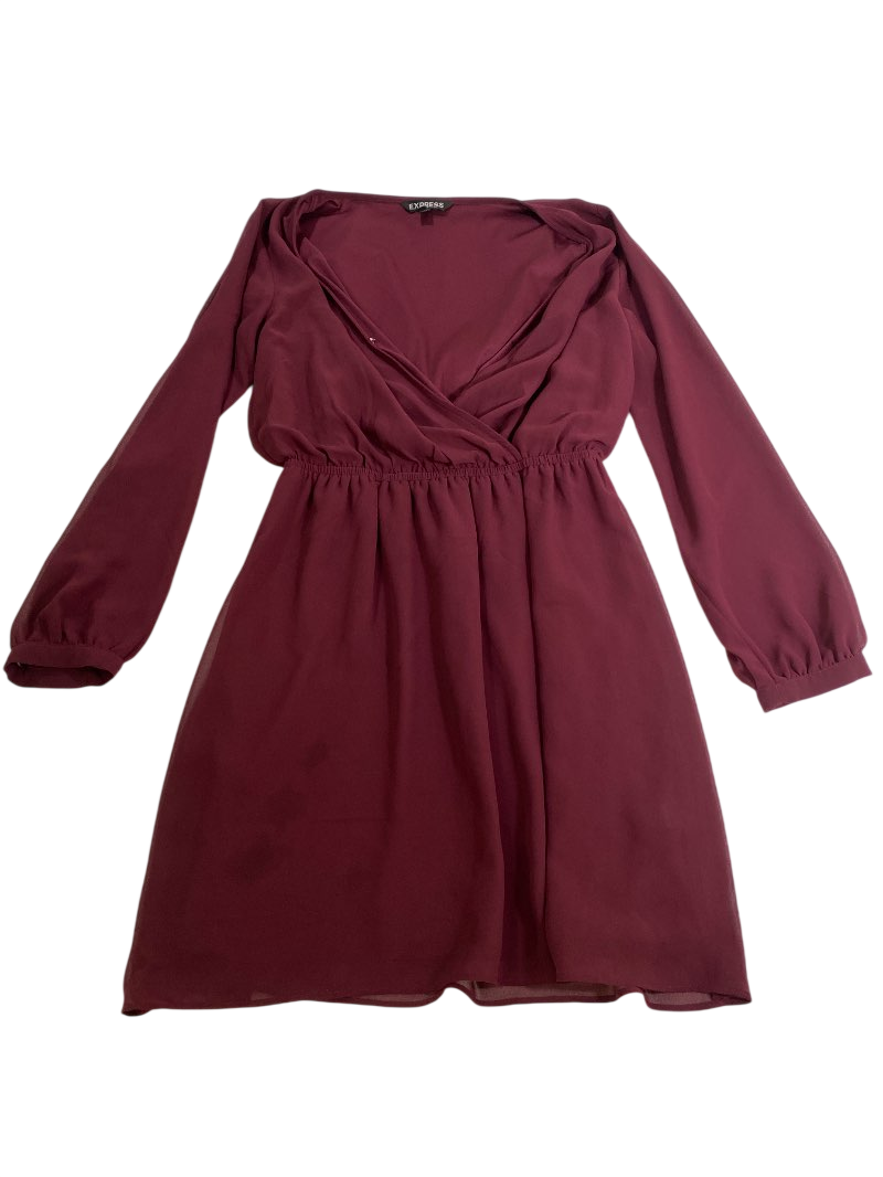 Express  V-Neck Long Sleeve Dresses