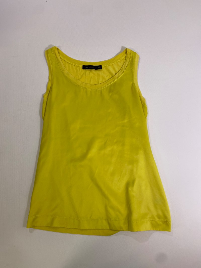 The Limited  Scoop Neck Tanks