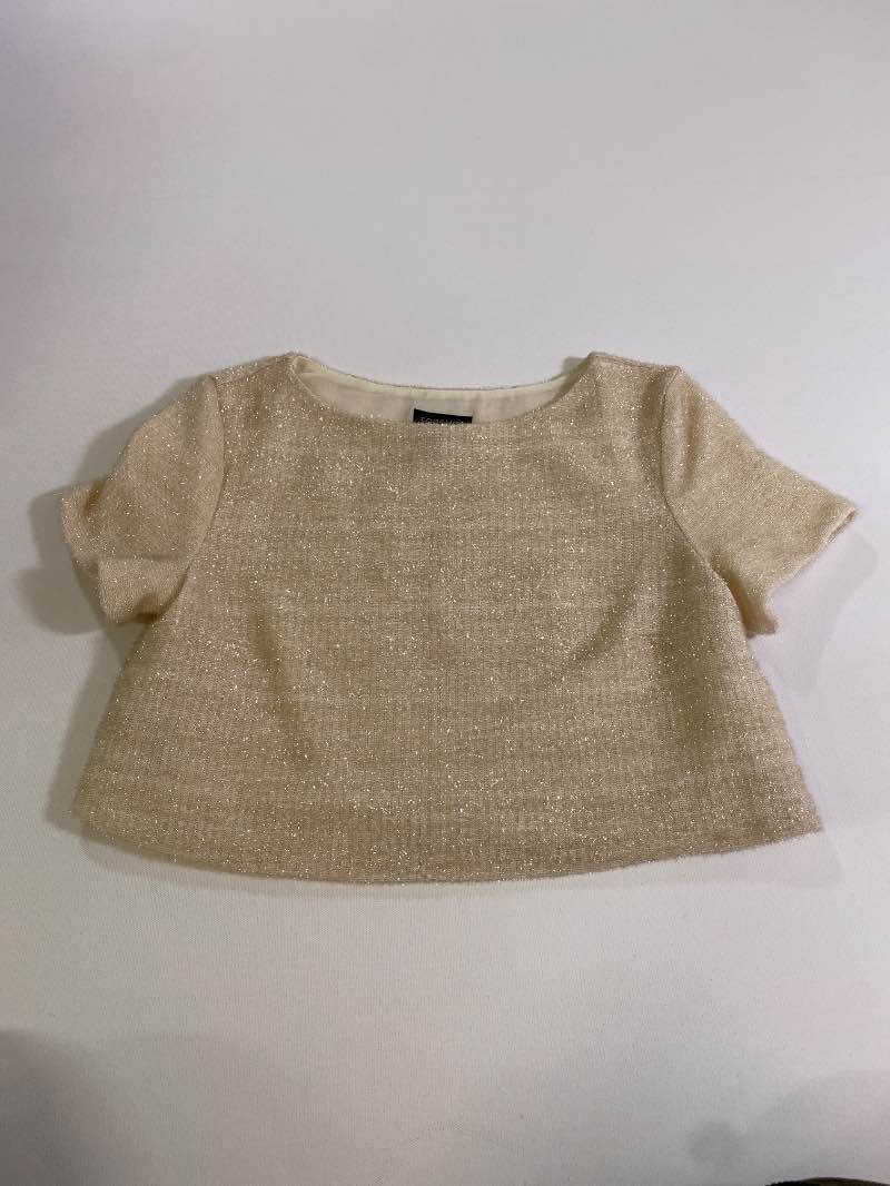 Top Shop Shimmering Crop Top Short Sleeves