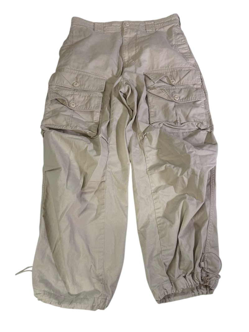 BDG Cargo Pants Pants