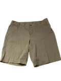 CJ Banks  Flat Front Shorts