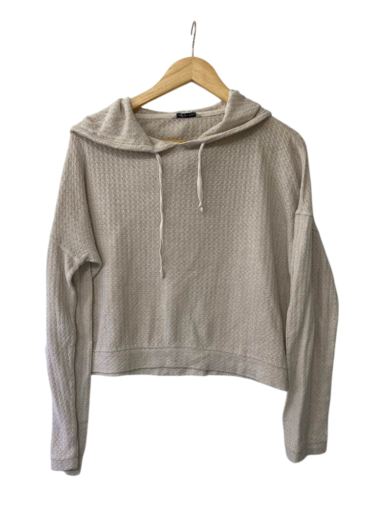 American Eagle Cropped Hoodie Long Sleeves