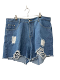 Shein Ripped Denim Shorts