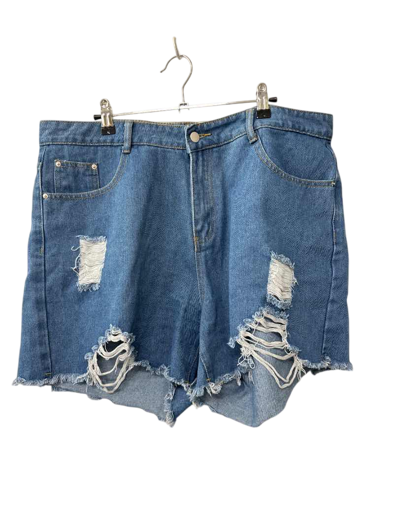 Shein Ripped Denim Shorts