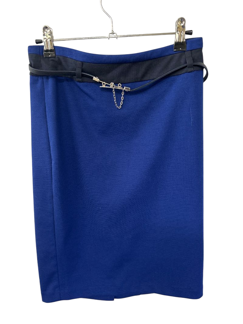 The Limited  Pencil Skirt Skirt